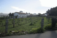 Terreno vendita in Las Sinas, Vilanova de Arousa, Pontevedra. 